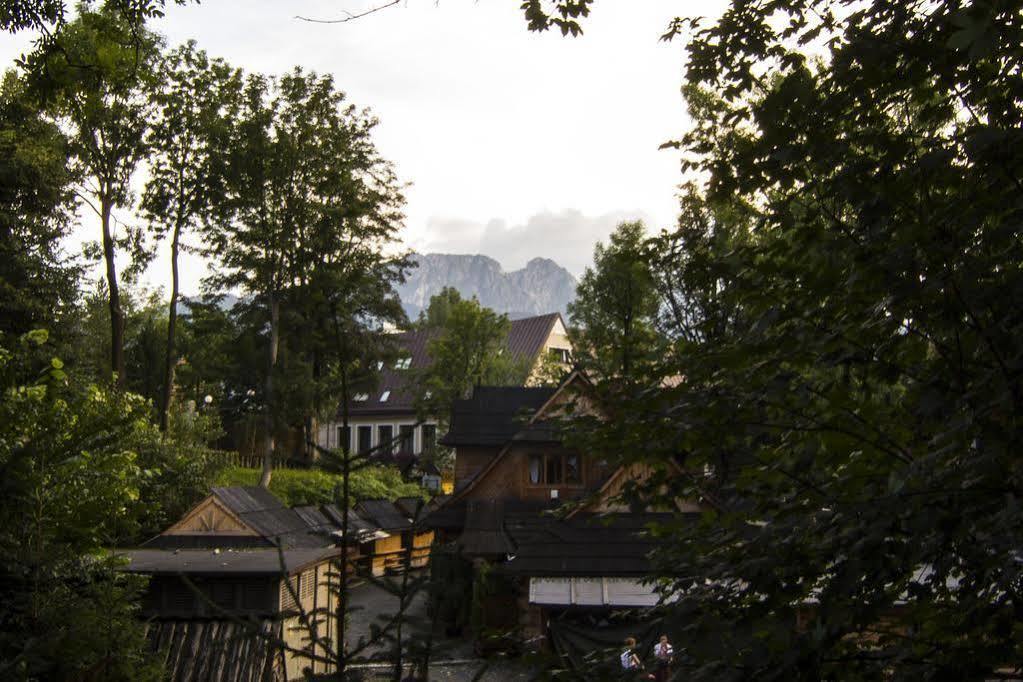 Apartament Nowotarski 扎科帕内 外观 照片